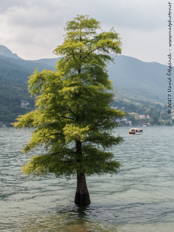 Isola Bella