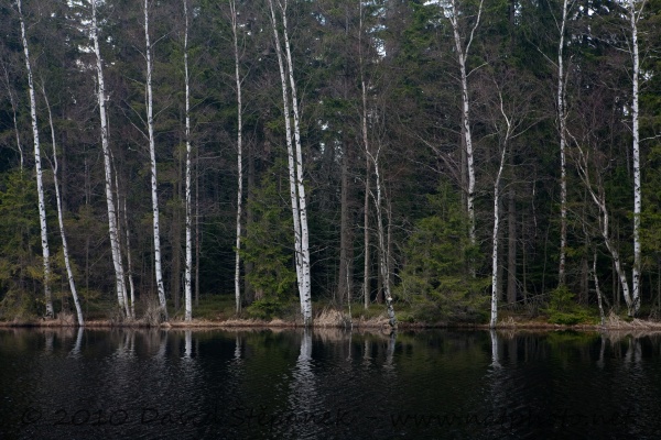 Kladské rašeliny