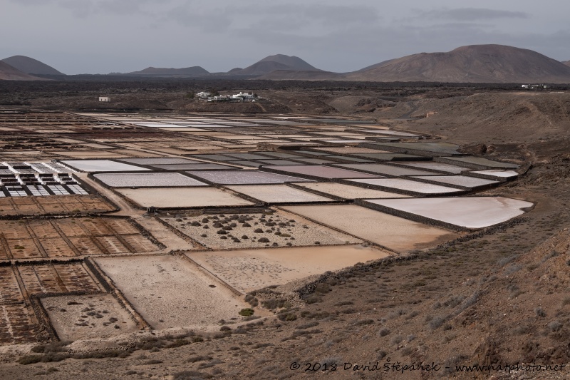 Salinas de Janubio