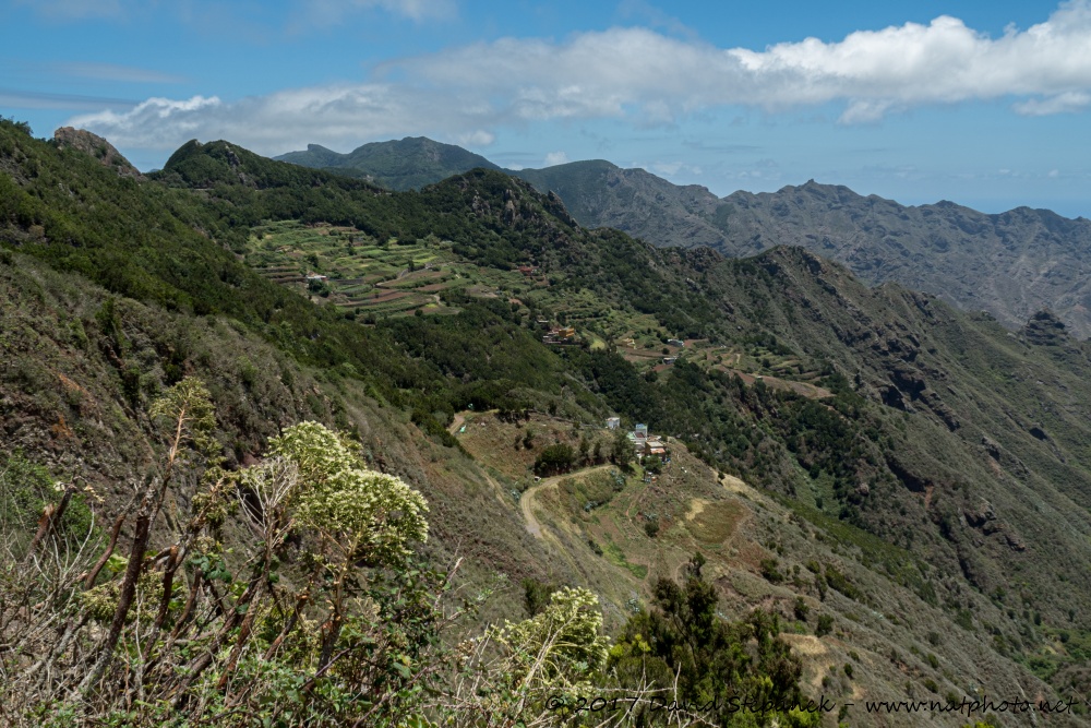 Tenerife