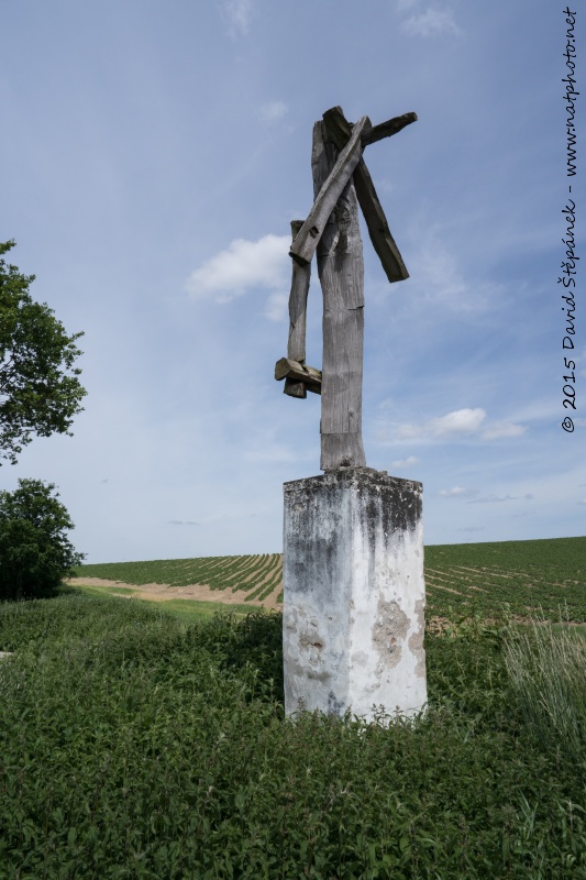 u svatého Isidora