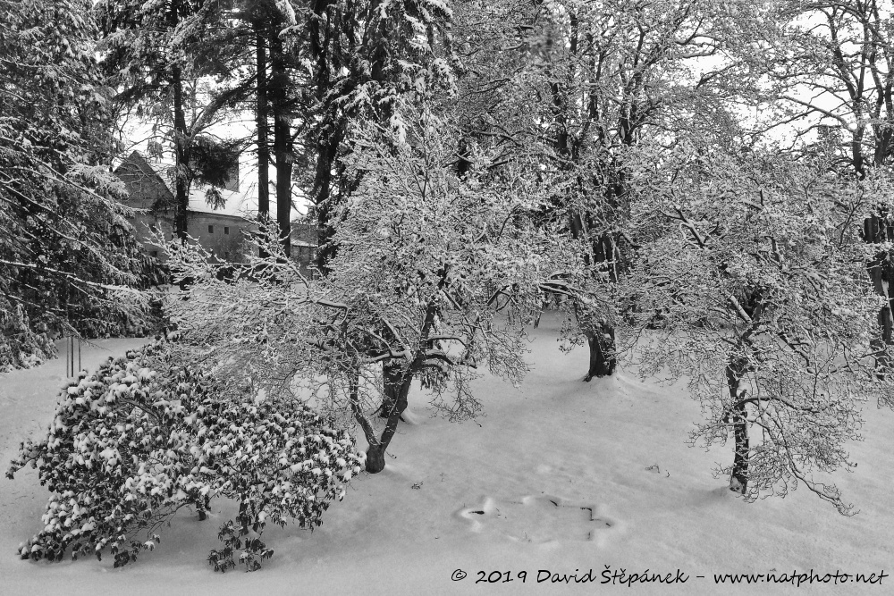 zámek Nové Mitrovice - park